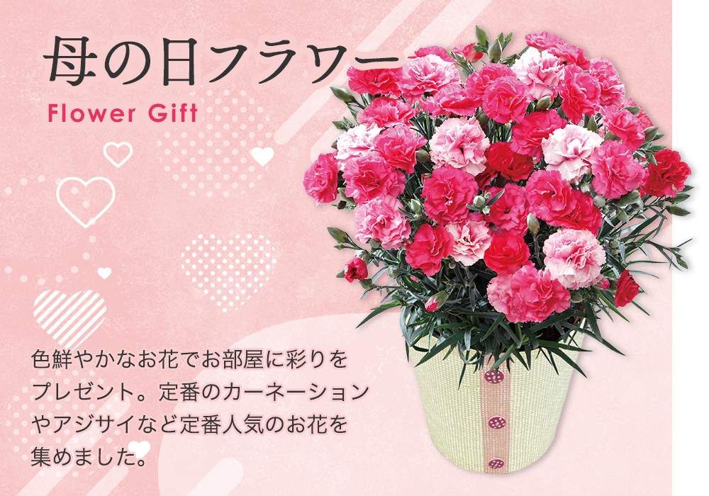 母の日フラワー 色鮮やかなお花でお部屋に彩りをプレゼント。定番のカーネーションやアジサイなど定番人気のお花を集めました。