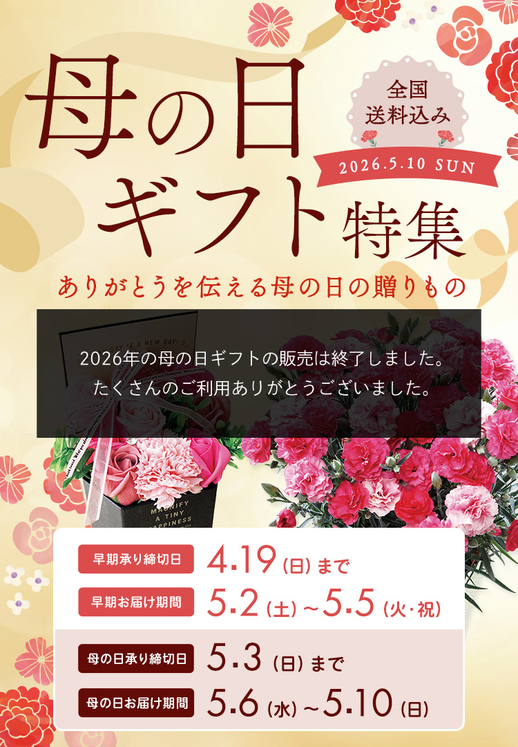 母の日ギフト特集2026|デイリーヤマザキ DAILY'S GIFTS